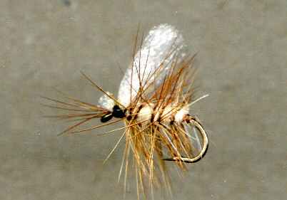 Foam Wing Caddis