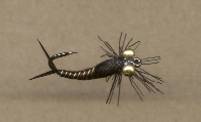 KAP Black Stonefly
