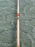 The Emerger