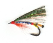 Rainbow Spey