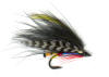 Steelspey