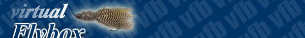 Virtualflybox