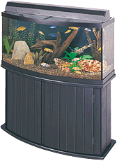 Current Equipment in the 72 gallon aquarium