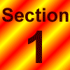 [Section 1]