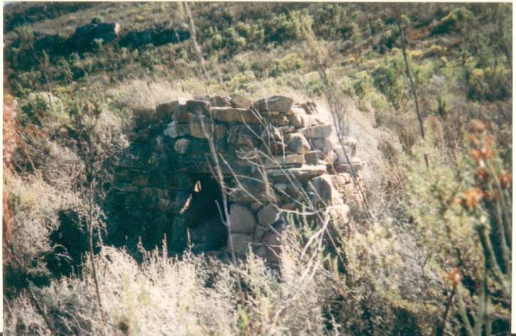 leopard trap