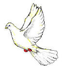 Dove