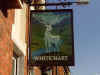 Pubsign2.jpg (38731 bytes)