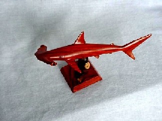 photo4