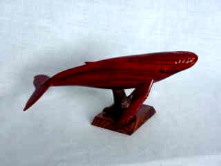 photo2