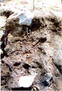 My 
excavation area