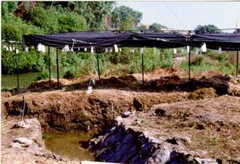 Main site, start of 
season