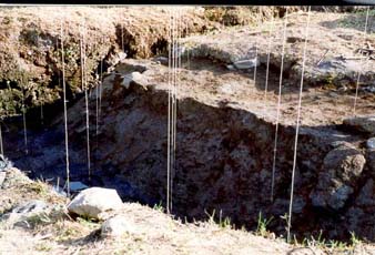 Hanging Grid 
System