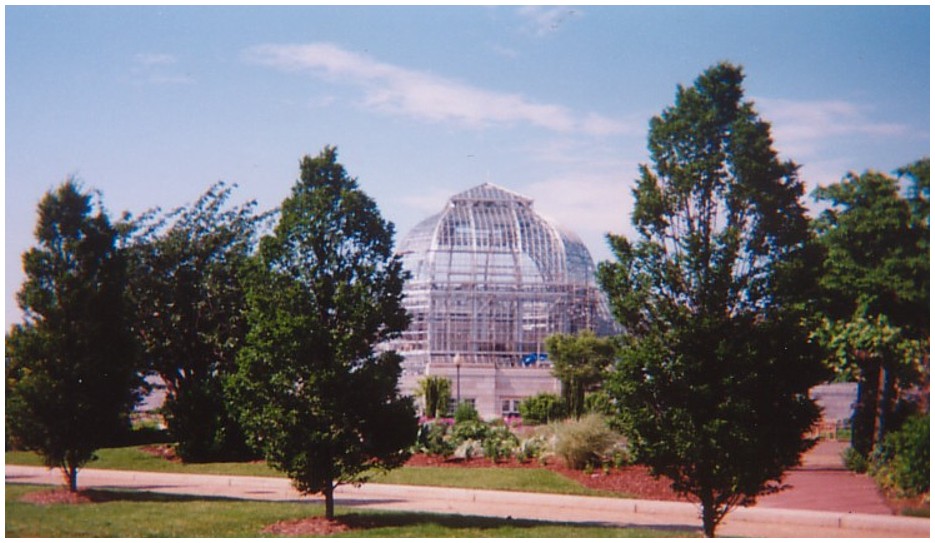 The Botanic Gardens
