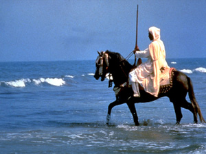 Morocco of Days gone by.&nbsp;&nbsp; A traditional horseman in El Jadida.