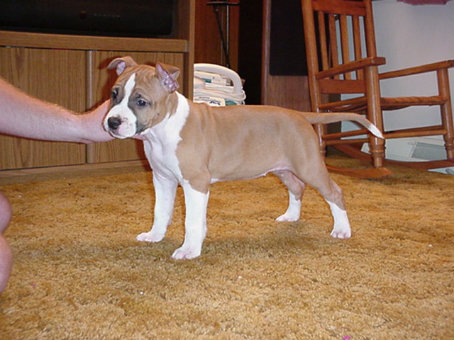 Baby is so easy to Stack!&nbsp; - 9 weeks