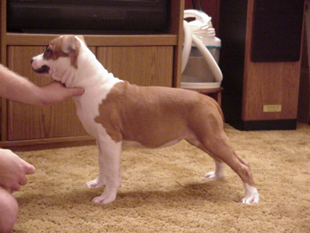 Beauty at 12 weeks.
