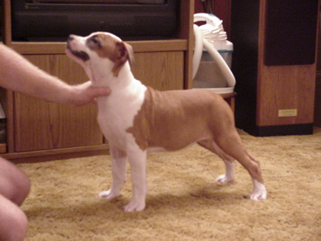 Beauty at 12 weeks.