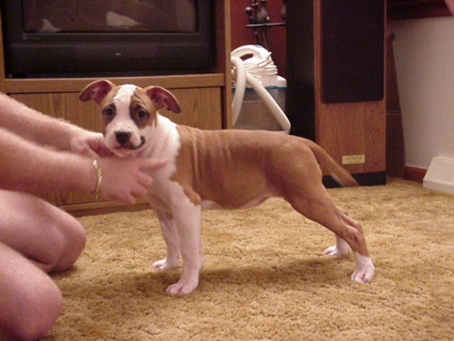 Beauty at 12 weeks.
