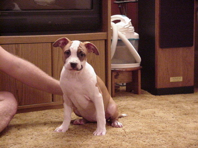 Beauty at 12 weeks.