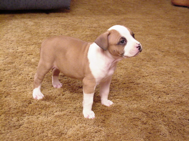Beauty at 5 weeks.
