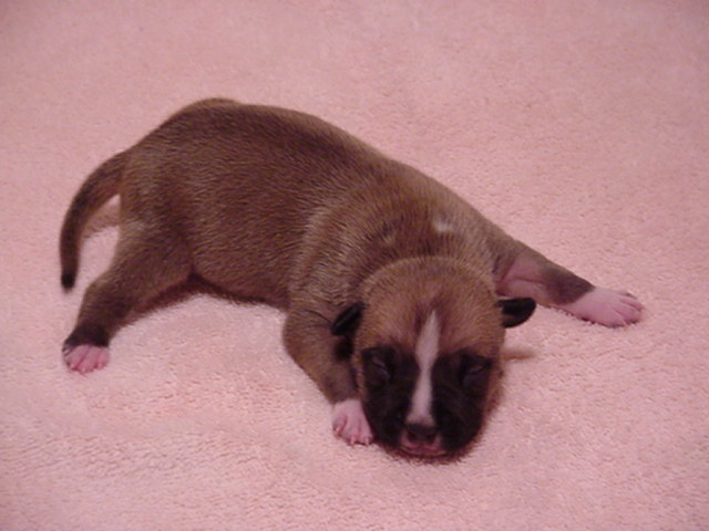 NumberOne at 8 days.