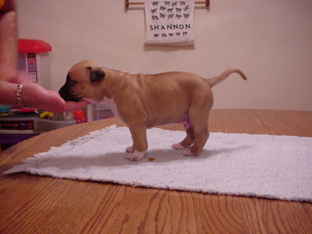 NumberOne at 29 days.