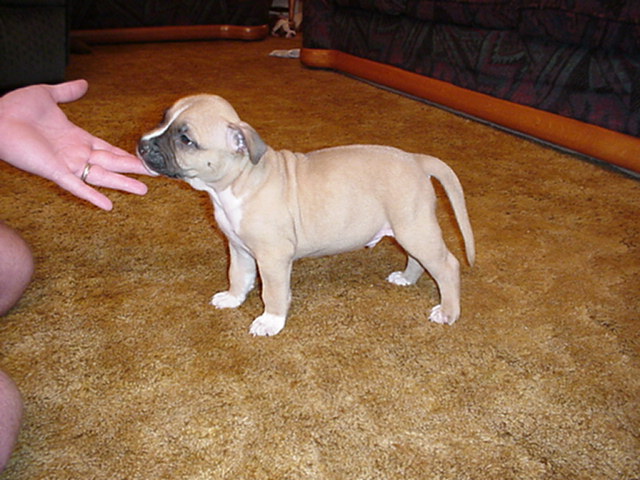 NumberOne at 5 weeks.