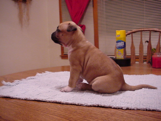 NumberOne at 29 days.