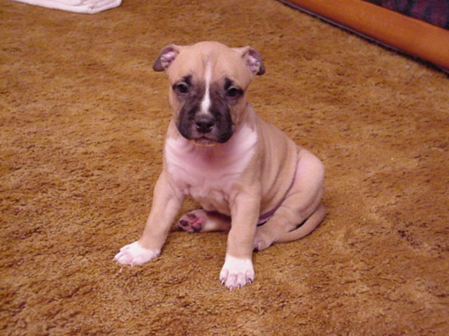 NumberOne at 5 weeks.