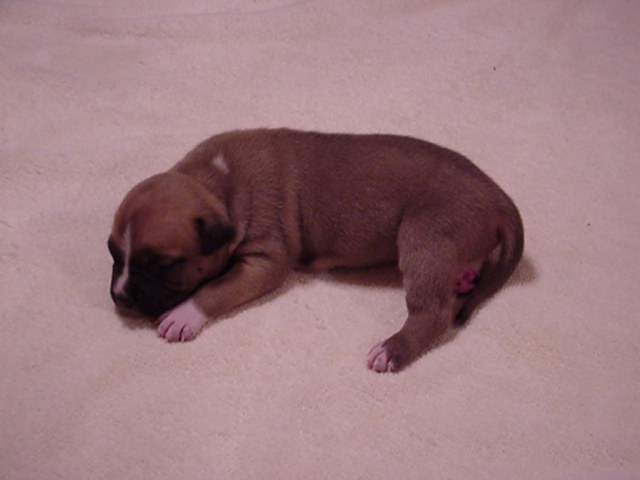 NumberOne at 16 days.