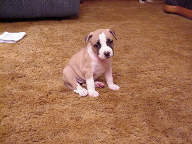 Precious at 5 weeks.