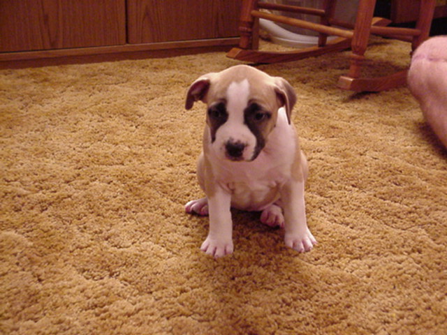 Precious at 6 weeks.