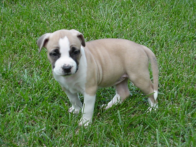 Precious at 5 weeks.