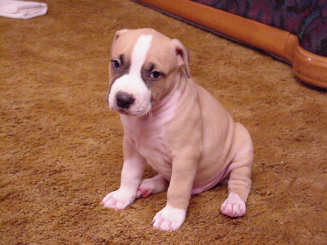 Slash at 5 weeks.