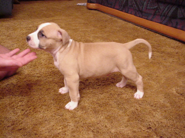Slash at 5 weeks.