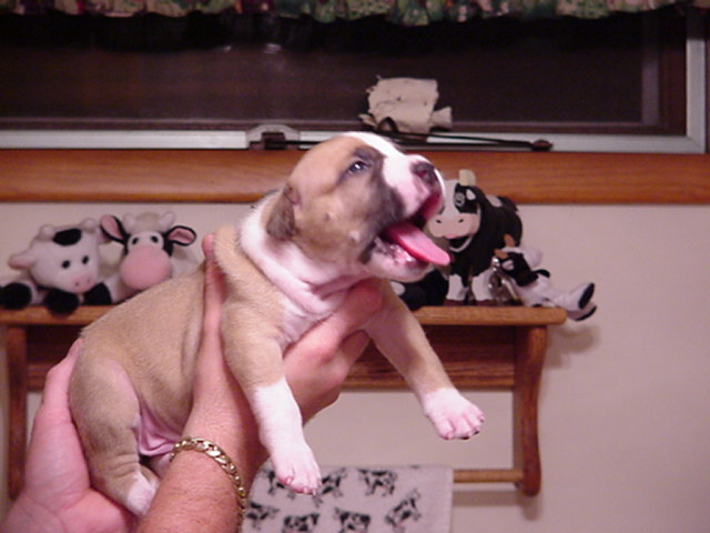 Slash at 22 days.