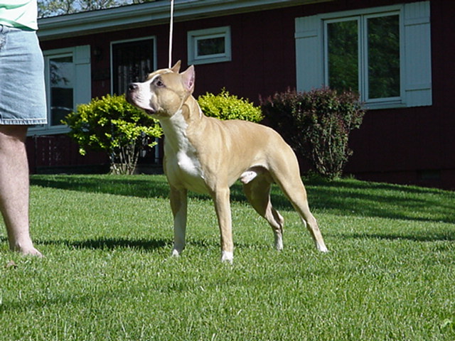 Slash at 10 Months