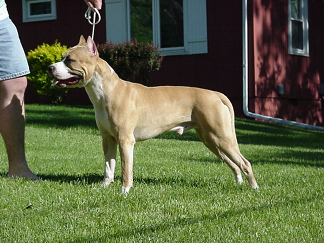 Slash at 10 Months