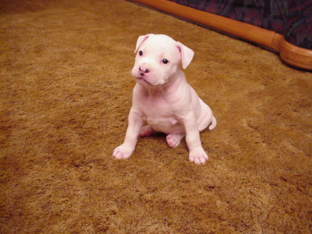 Ain't I CUTE?? at 5 weeks.