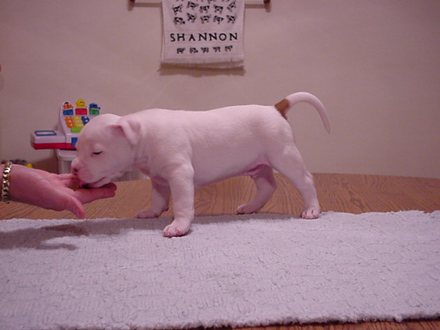 Spot at 29 days.