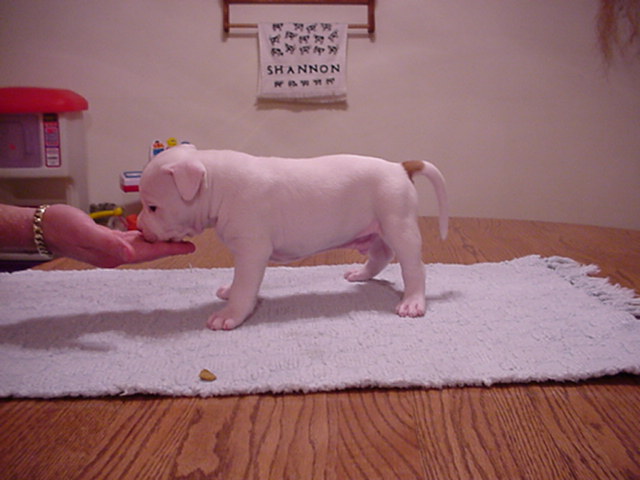 Spot at 29 days.