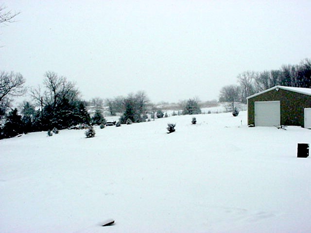 Walk out the front door and this is what you see when it snows.