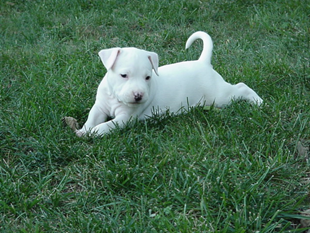 Whitey's Mom and Dad need to send me his Full name and updated Pics !!