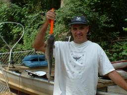 Frankscat.JPG (12202 bytes)