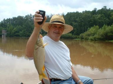 LewisFish_60p.JPG (17101 bytes)