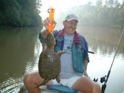 Myturtle.JPG (8876 bytes)