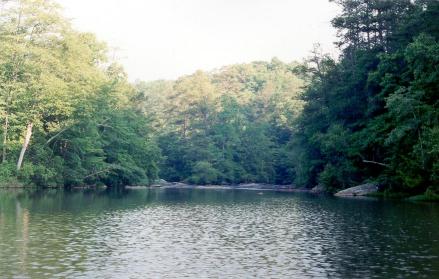 dogriver_002.jpg (26900 bytes)