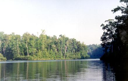 dogriver_003.jpg (21652 bytes)