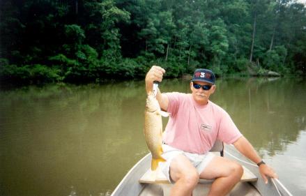fish_001.jpg (19828 bytes)