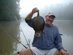 turtle_smile.JPG (7430 bytes)